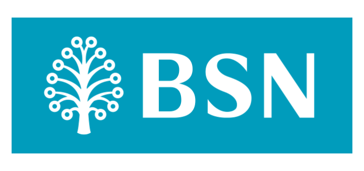 bsn-new-logo-vector-720x340